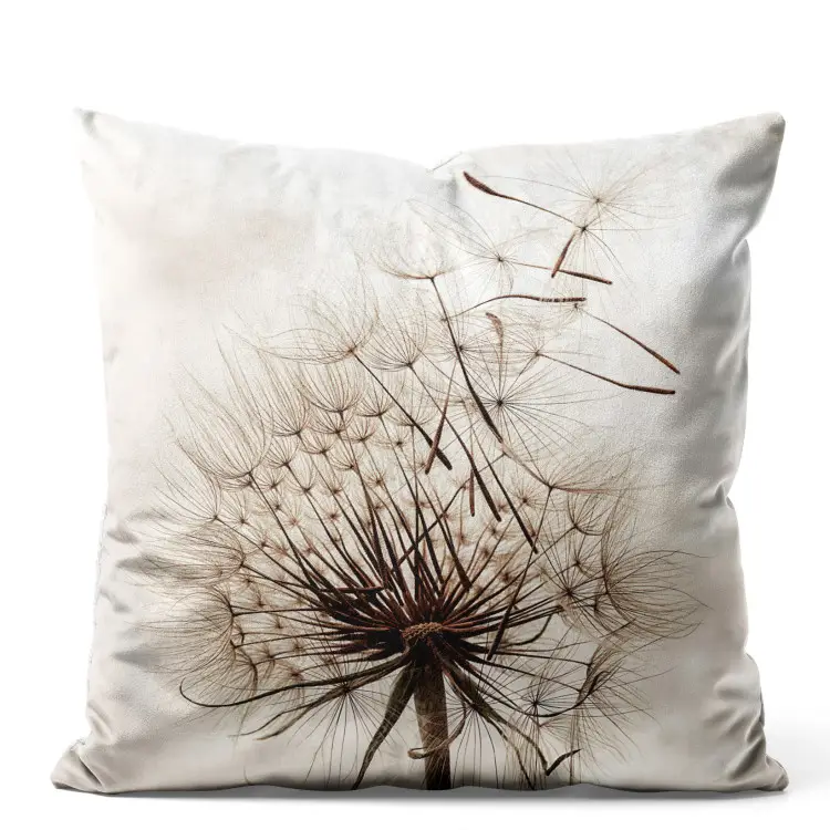 Ulotność natury - przekwitający dmuchawiec na beżowym tle