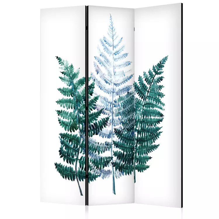 Natura - turkusowe i błękitne liście paproci na białym tle [Room Dividers]