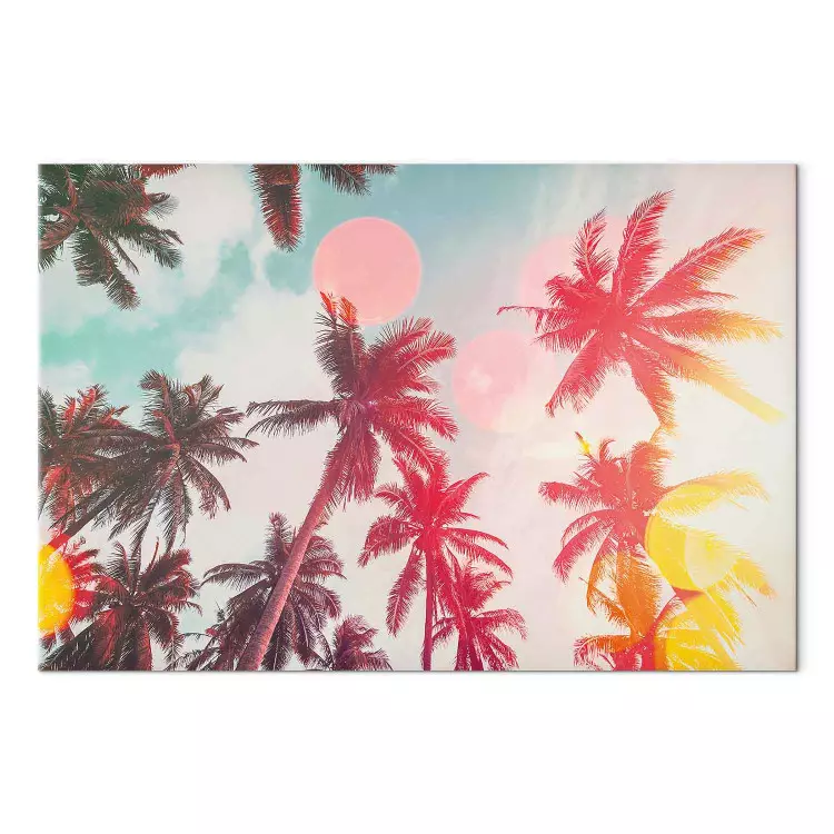Palmy w świetle - tropikalne drzewa w promieniach słonecznych