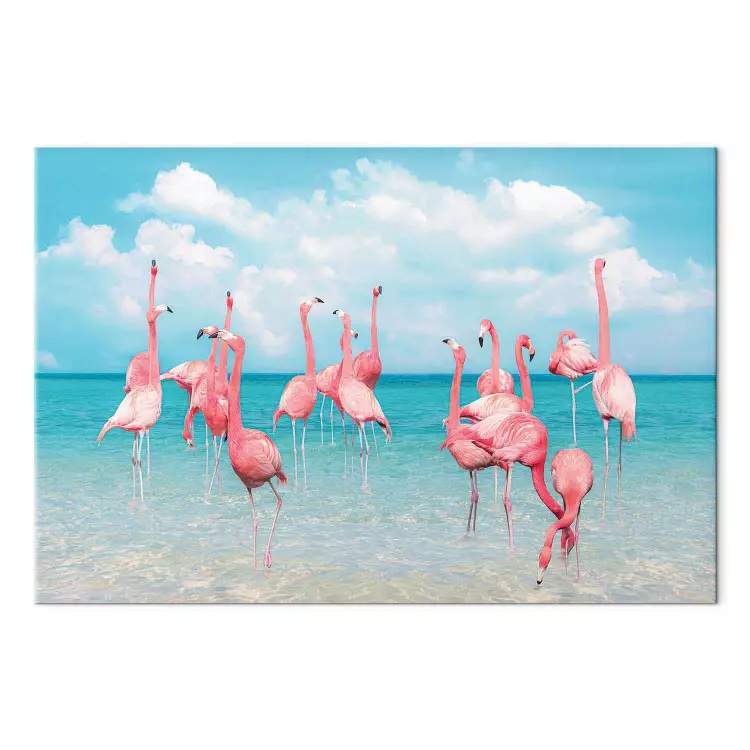 Tropikalne flamingi - ptaki w przejrzystej wodzie pod błękitnym niebem