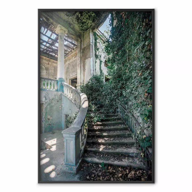 Zarastające schody - opuszczona klatka schodowa wśród zieleni