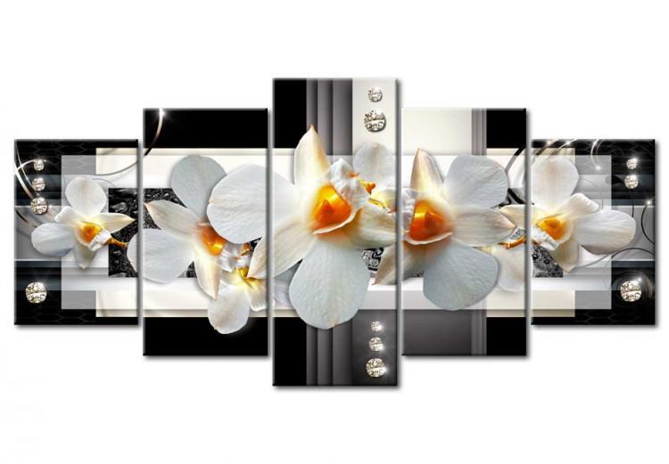 Obraz na płótnie Słoneczne orchidee