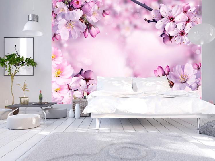 Fototapeta Wiosna - fioletowa kompozycja kwiatów wiśni na tle z efektem błysku
