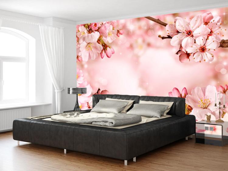 Fototapeta Wiosna - różowa kompozycja kwiatów wiśni na tle z efektem błysku