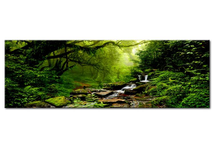 Obraz na płótnie Baśniowy las