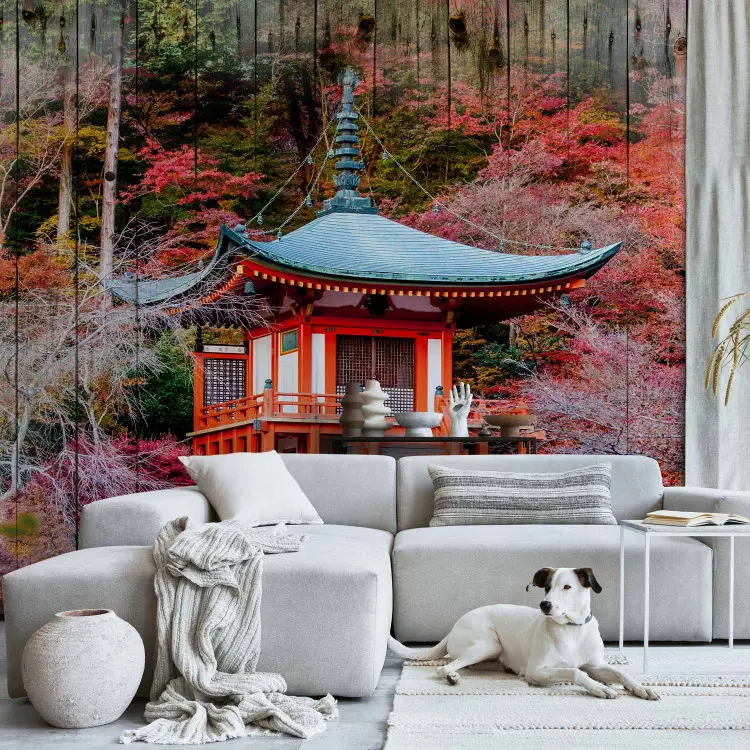 Jesienna Japonia - architektura orientu wśród kolorowych drzew na tle z desek