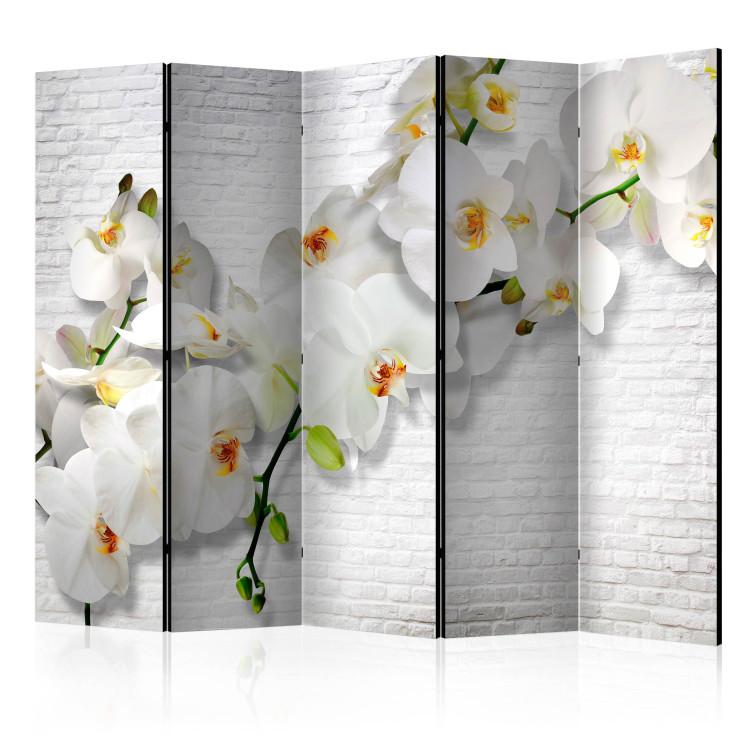 Parawan Miejska orchidea II [Room Dividers]