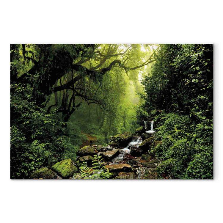 Obraz na płótnie Wodospad w lesie