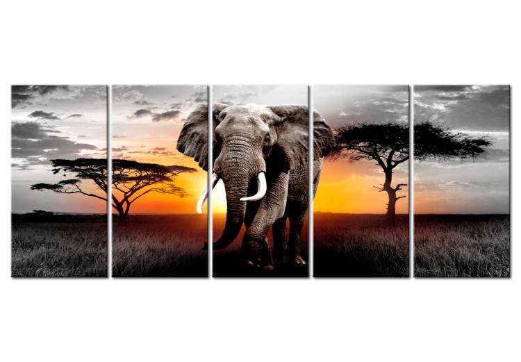 Obraz na płótnie Piękno Afryki