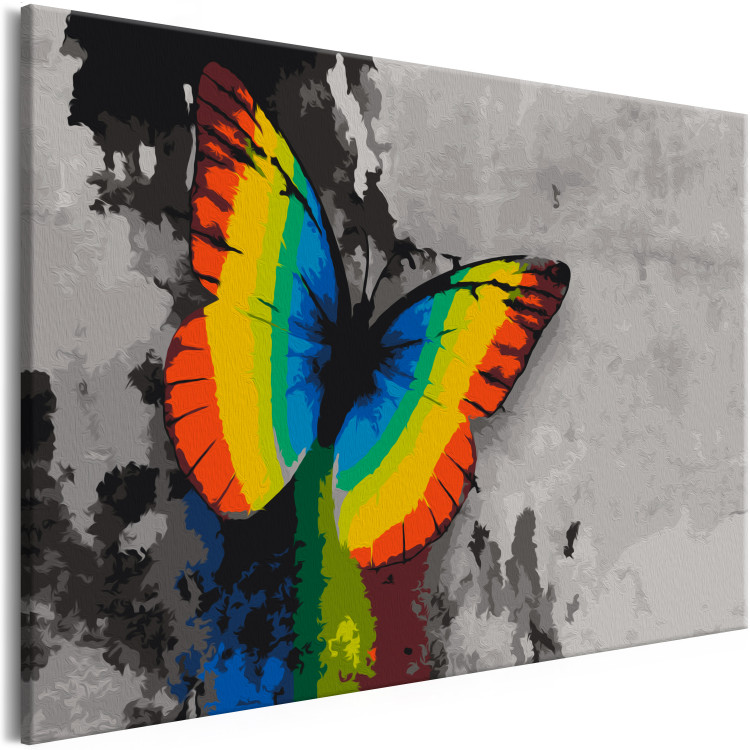 Obraz do malowania po numerach Kolorowy motyl 108000 additionalImage 5