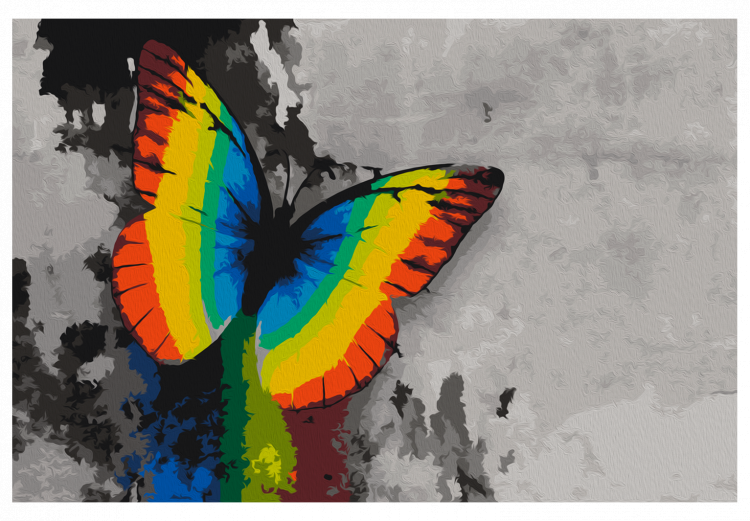 Obraz do malowania po numerach Kolorowy motyl 108000 additionalImage 7