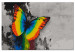 Obraz do malowania po numerach Kolorowy motyl 108000 additionalThumb 6