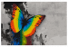 Obraz do malowania po numerach Kolorowy motyl 108000 additionalThumb 7