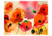 Fototapeta Aksamitne maki - abstrakcja kwiatów maku w energetycznych kolorach 60410 additionalThumb 1