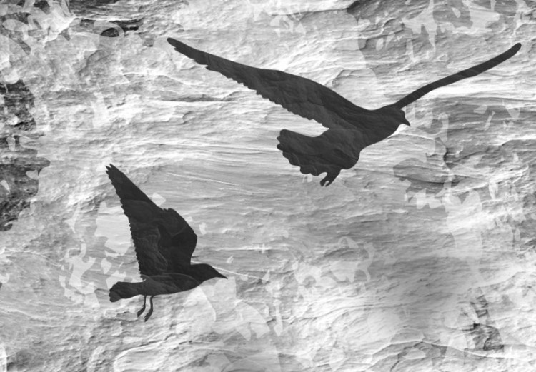 Obraz Srebrzyste powroty - abstrakcyjne, czarno-białe ptaki na tle lasu, ciekawy efekt faktury pergaminu 64310 additionalImage 5
