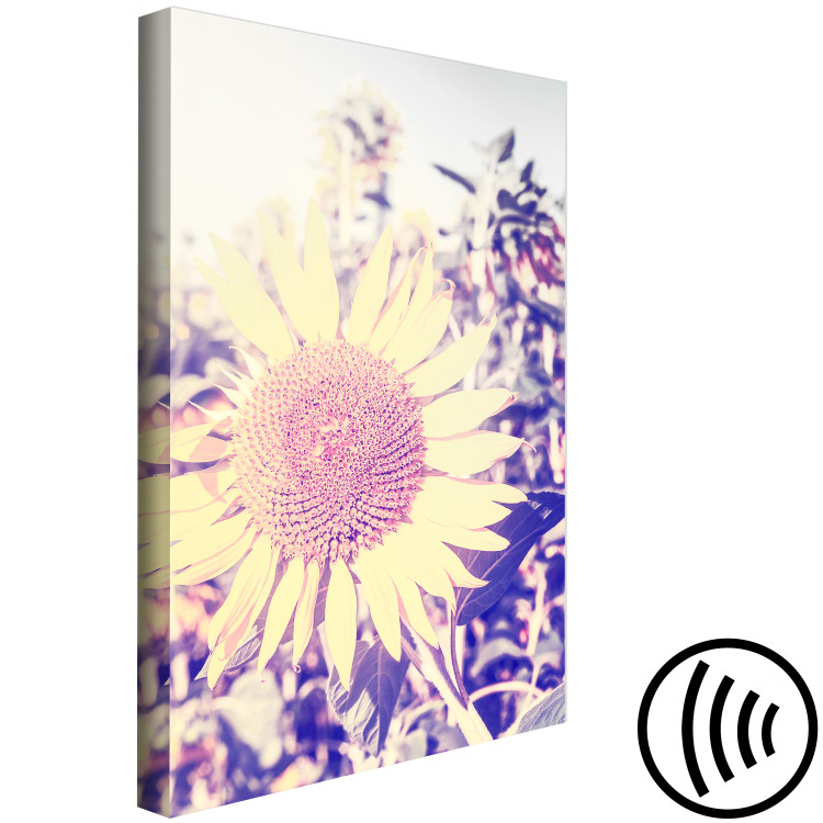 Obraz Wspomnienie lata - kwiat słonecznika w polu z fioletową poświatą 116430 additionalImage 6