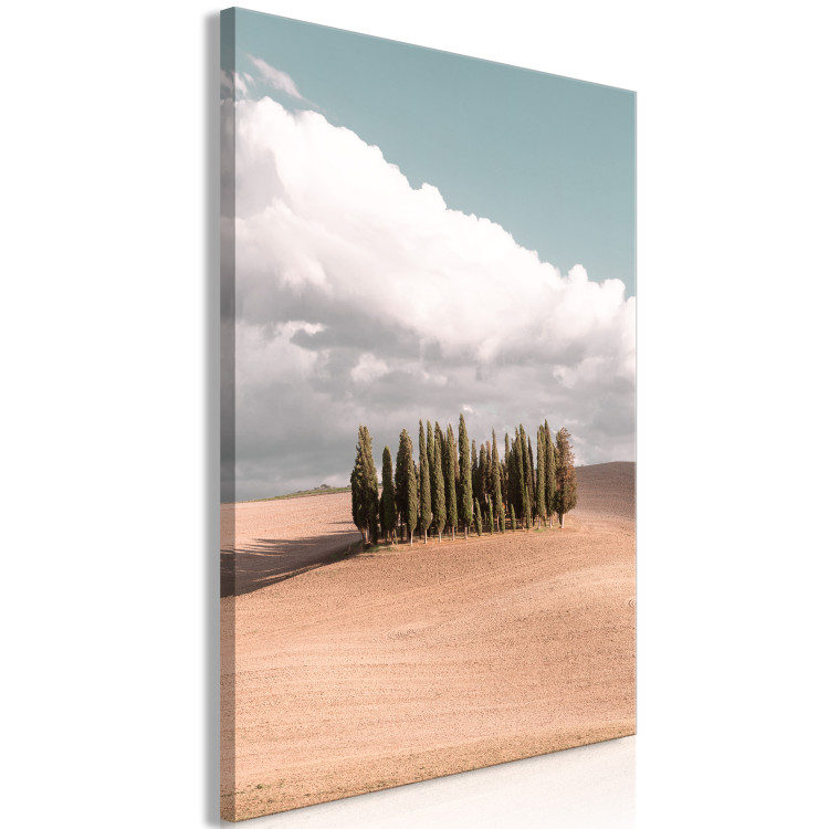 Obraz Toskański las - fotografia z pejzażem Toskanii, chmurami i cyprysami 135830 additionalImage 2