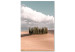 Obraz Toskański las - fotografia z pejzażem Toskanii, chmurami i cyprysami 135830
