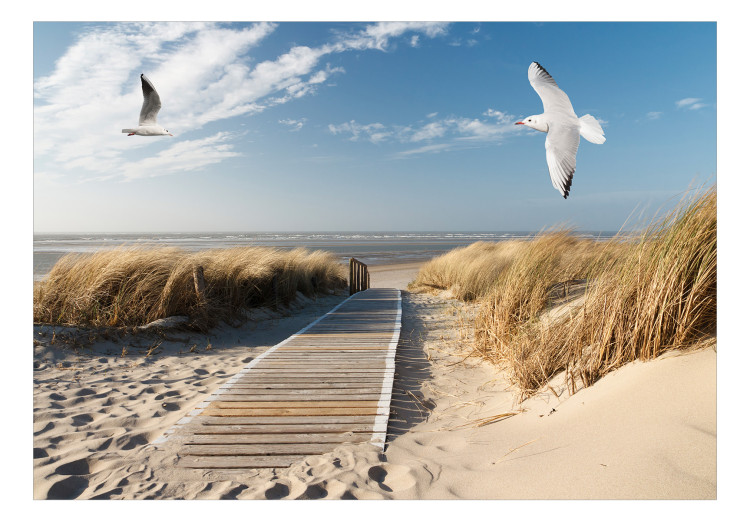 Fototapeta Letni krajobraz - pejzaż z ptakami na tle spokojnego morza i plaży 143830 additionalImage 1