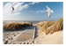 Fototapeta Letni krajobraz - pejzaż z ptakami na tle spokojnego morza i plaży 143830 additionalThumb 1