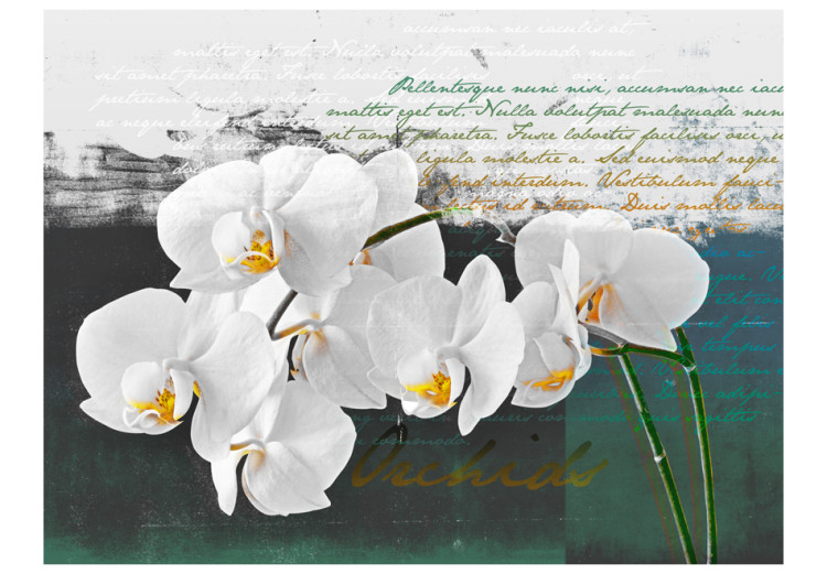 Fototapeta Orchidea - inspiracja poety to biały motyw kwiatowy na tle z napisami 60630 additionalImage 1