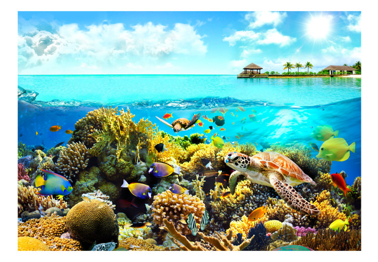 Fototapeta Kolorowy ocean - pejzaż podwodnego świata rafy koralowej i zwierząt 97530 additionalImage 1
