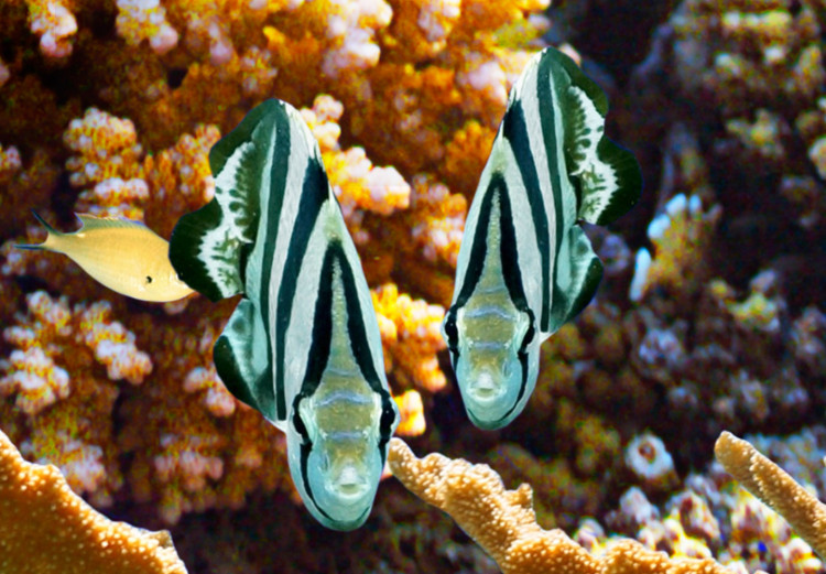 Fototapeta Kolorowy ocean - pejzaż podwodnego świata rafy koralowej i zwierząt 97530 additionalImage 4