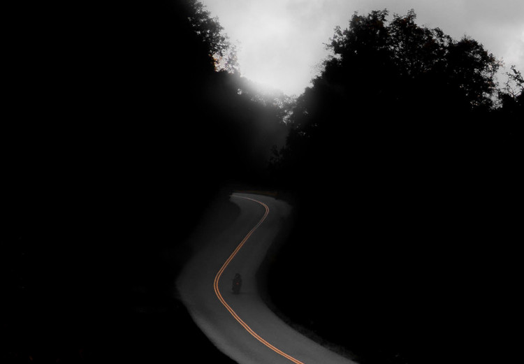Obraz Droga między drzewami (1-częściowy) - czarno-biały pejzaż nieba 114950 additionalImage 4
