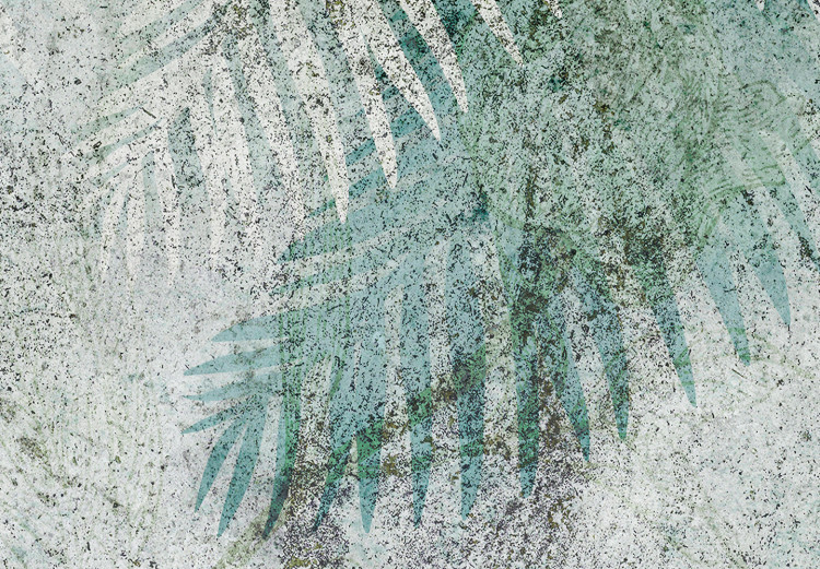 Fototapeta Prehistoryczne palmy 135250 additionalImage 3
