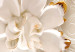 Fototapeta Złocone kwiaty i perłowy ornament ze złotymi i białymi dodatkami 137850 additionalThumb 4
