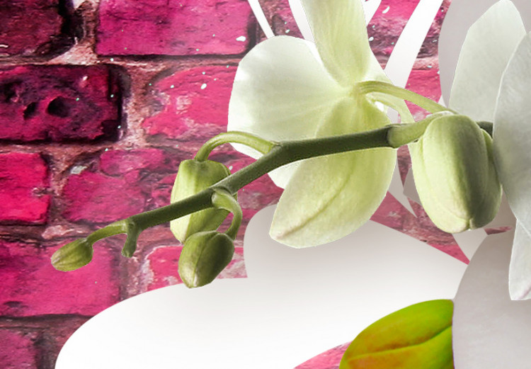 Obraz Wariacja na temat orchidei 61750 additionalImage 5