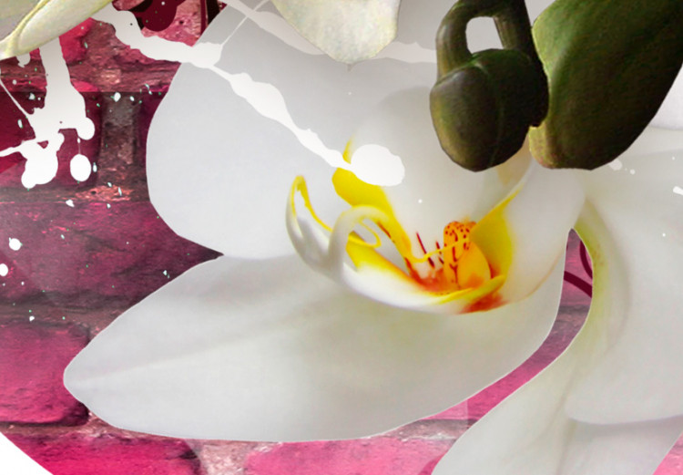 Obraz Wariacja na temat orchidei 61750 additionalImage 4