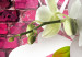 Obraz Wariacja na temat orchidei 61750 additionalThumb 5