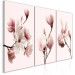 Obraz Wiosenne magnolie (3-częściowy) 118380 additionalThumb 2