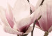 Obraz Wiosenne magnolie (3-częściowy) 118380 additionalThumb 5