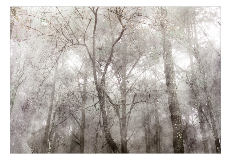 Fototapeta Korona drzew - krajobraz szarym w lesie pełnym drzew w stylu vintage 137880 additionalImage 1