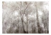 Fototapeta Korona drzew - krajobraz szarym w lesie pełnym drzew w stylu vintage 137880 additionalThumb 1