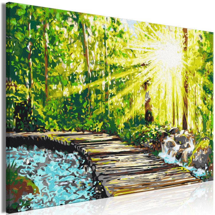 Obraz do malowania po numerach Spacer po lesie - drewniana ścieżka wśród drzew i strumyku 148880 additionalImage 5