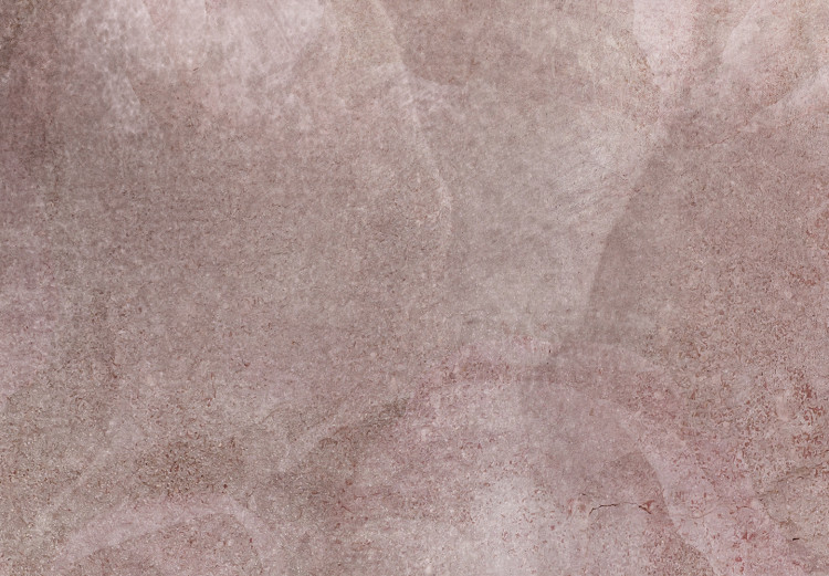 Fototapeta Różana organza - abstrakcyjnie przenikające się róże i piwonie za mglistym woalem w odcieniach pudrowego różu 135490 additionalImage 4