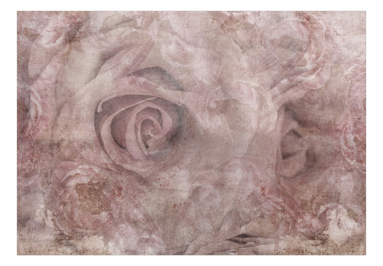 Fototapeta Różana organza - abstrakcyjnie przenikające się róże i piwonie za mglistym woalem w odcieniach pudrowego różu 135490 additionalImage 1