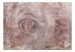 Fototapeta Różana organza - abstrakcyjnie przenikające się róże i piwonie za mglistym woalem w odcieniach pudrowego różu 135490 additionalThumb 1