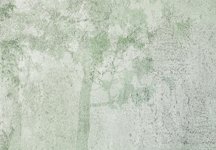 Obraz koło Lasek - przenikający się zarys zielonych drzew w mglisty dzień 148690 additionalImage 2