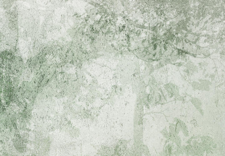 Obraz koło Lasek - przenikający się zarys zielonych drzew w mglisty dzień 148690 additionalImage 3