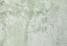 Obraz koło Lasek - przenikający się zarys zielonych drzew w mglisty dzień 148690 additionalThumb 2