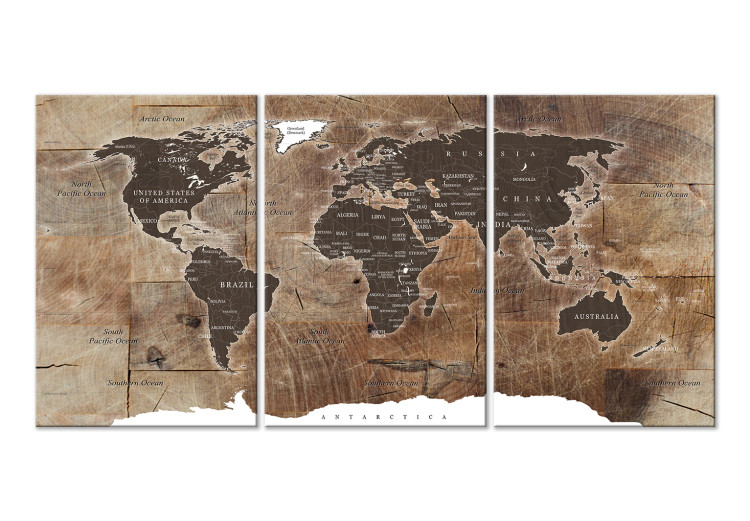 Obraz Mapa świata: Drewniana mozaika (3-częściowy) 122201