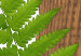 Obraz Roślinny zodiak: bliźnięta - minimalistyczna, botaniczna kompozycja 122601 additionalThumb 5