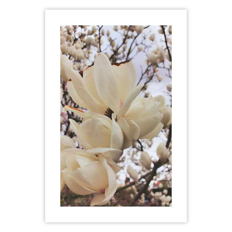 Plakat Złociste magnolie [Poster] 137001 additionalImage 8