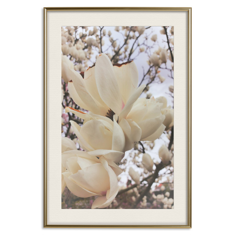 Plakat Złociste magnolie [Poster] 137001 additionalImage 2