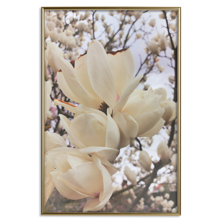Plakat Złociste magnolie [Poster] 137001 additionalImage 6