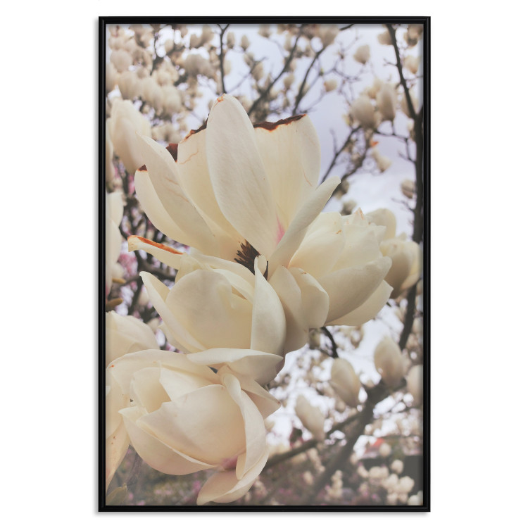 Plakat Złociste magnolie [Poster] 137001 additionalImage 7